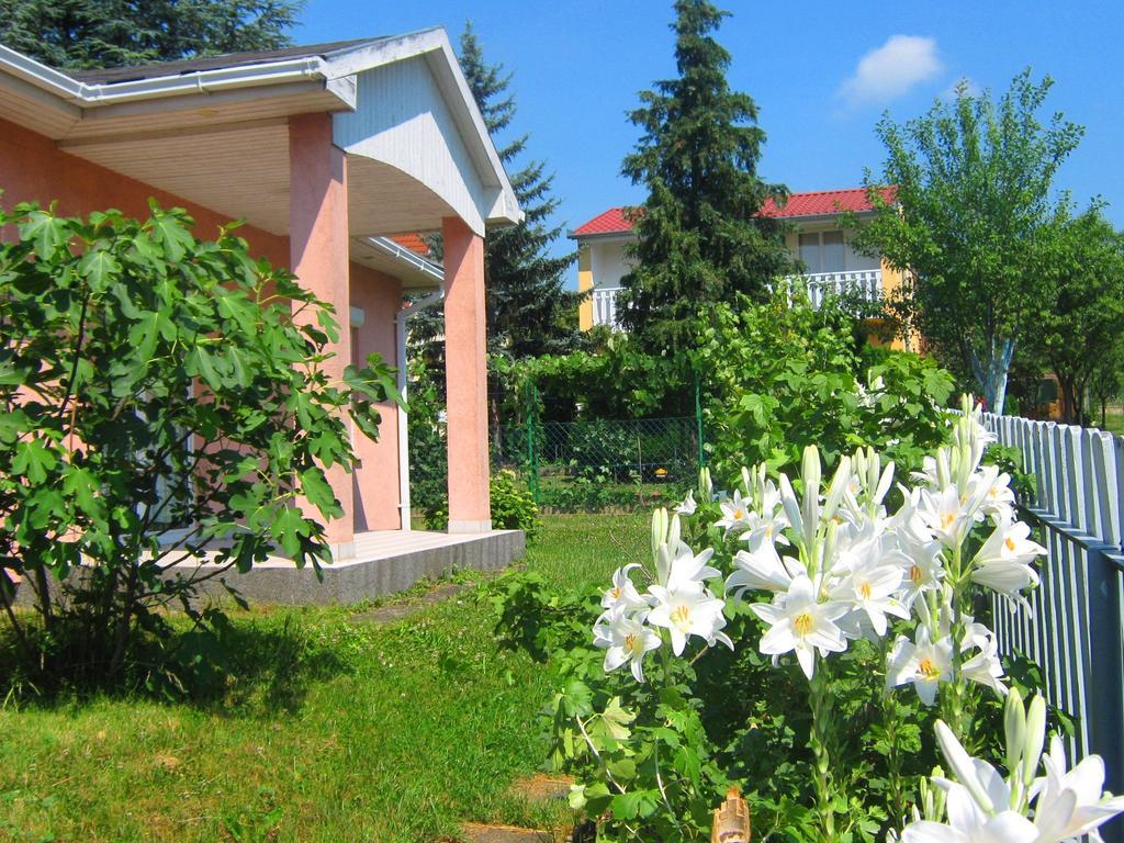 Feszek Apartmanhaz Вонярцвашгедь Екстер'єр фото