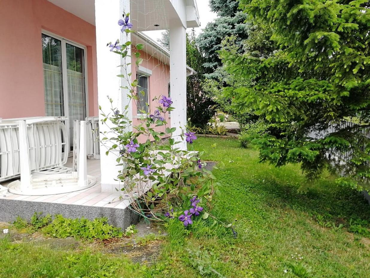 Feszek Apartmanhaz Вонярцвашгедь Екстер'єр фото