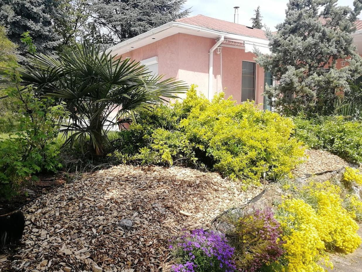 Feszek Apartmanhaz Вонярцвашгедь Екстер'єр фото